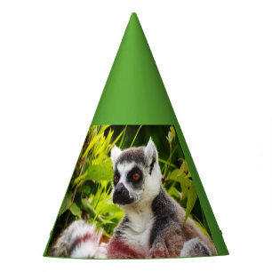ein Lemur aus Madagaskar mit Partyhut