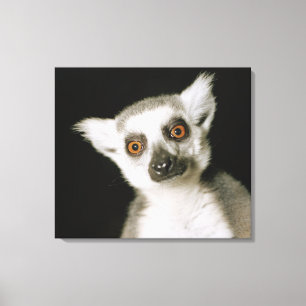 Ein Lemur. Leinwanddruck