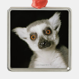Ein Lemur. Silbernes Ornament