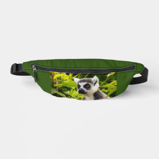 Ein Lemur von Madagaskar auf Bauchtasche