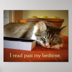 Ein Leserplakat Poster