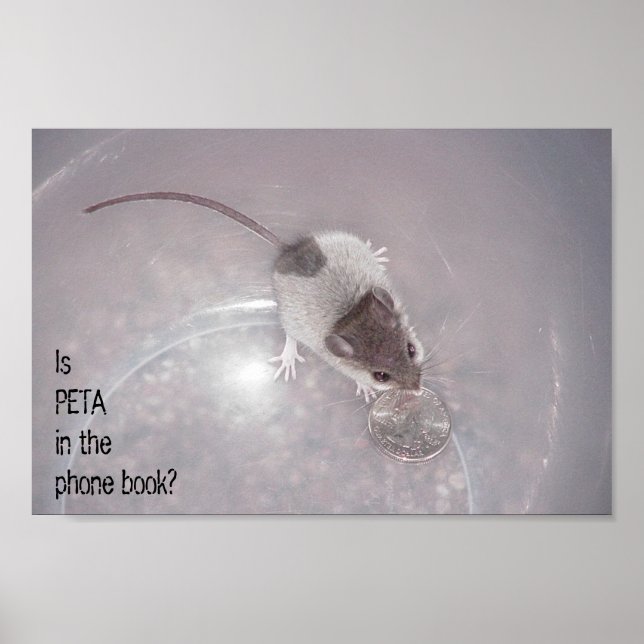 Ein letzter Aufruf Poster (Vorne)