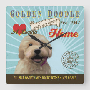 Ein liebenswerter Goldener Doodle macht unser Haus Quadratische Wanduhr