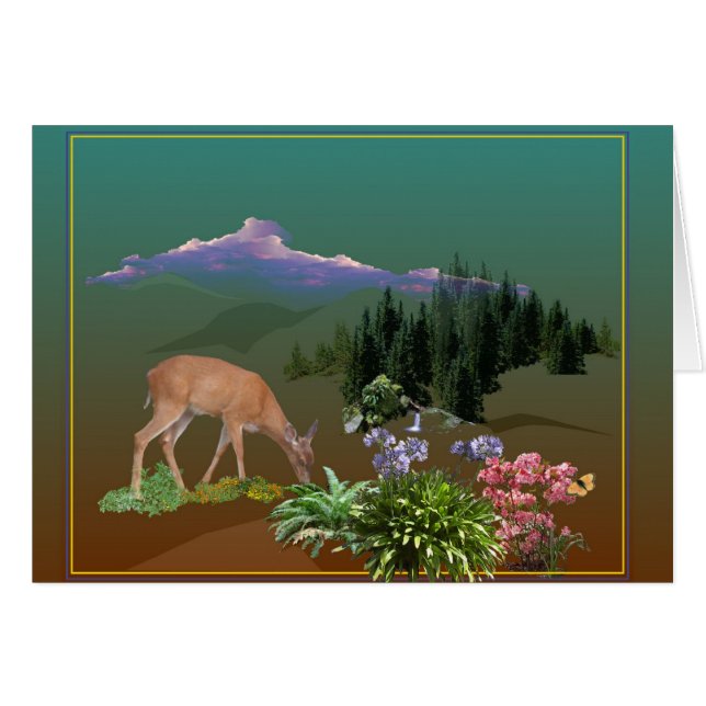 Ein liebes genanntes Pheona (Vorderseite (Horizontal))