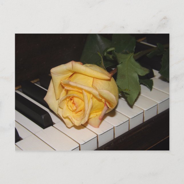 Ein Lied aus der Rose Postkarte (Vorderseite)