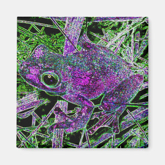 Ein Lila Frosch im Hofgarten der Wunder Magnet