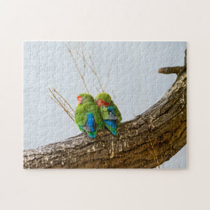 Ein lovebird-Paar auf einer Niederlassung Puzzle