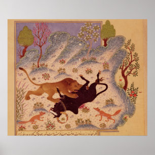 Ein Löwe, der einen Stier in Angriff nimmt und Poster