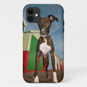 Ein Lurcher stehend vor einigen Strand-Hütten Case-Mate iPhone Hülle