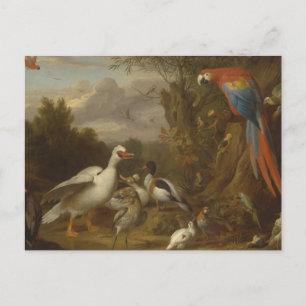 Ein Macahahn und andere Vögel in einer Landschaft Postkarte