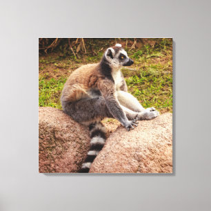 ein mageres Madagaskar auf gestreckter Leinwand