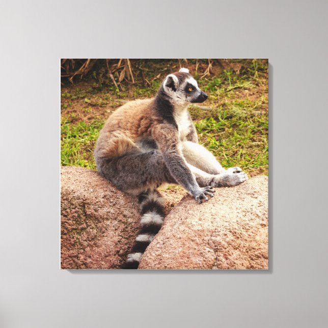 ein mageres Madagaskar auf gestreckter Leinwand (Vorderseite)