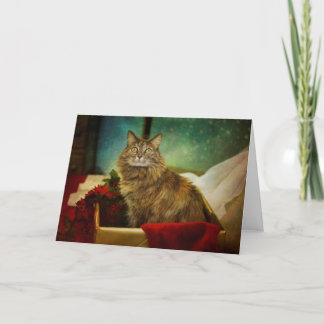 Ein magisches Weihnachten