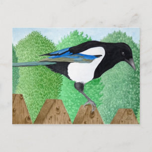 Ein Magpie steht auf einem Zaun Postkarte