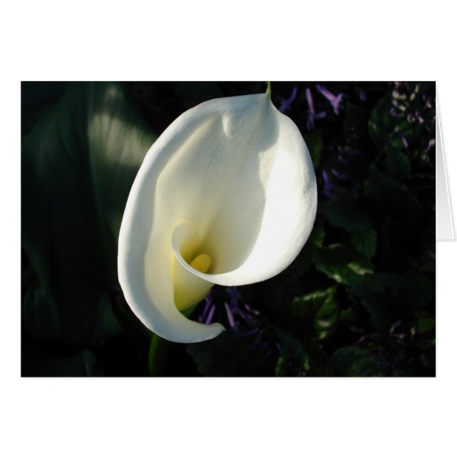 Ein Maiglöckchen (Vorderseite (Horizontal))