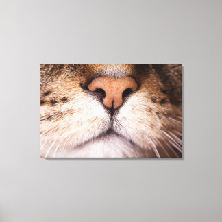 Ein Makro-Bild von Nase und Mund einer Katze. Leinwanddruck