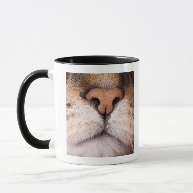 Ein Makrobild der Nase und des Munds einer Katze Tasse (Links)