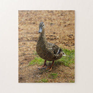 Ein Mallard Duck Jigsaw-Puzzle Puzzle
