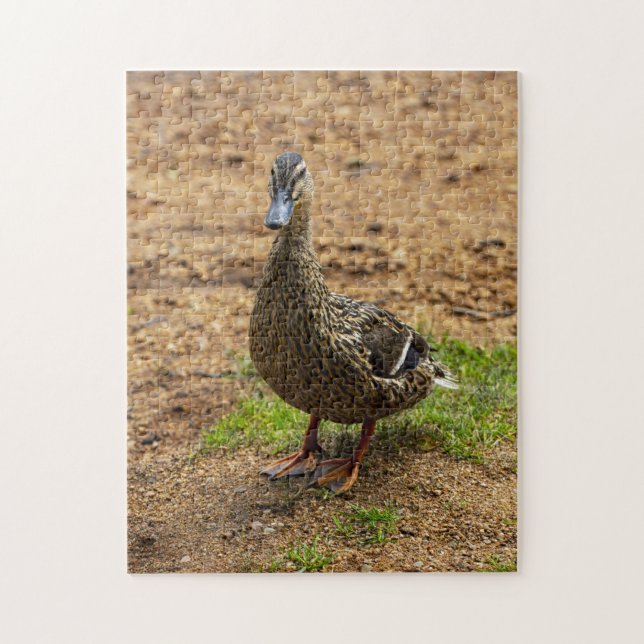 Ein Mallard Duck Jigsaw-Puzzle Puzzle (Vertikal)