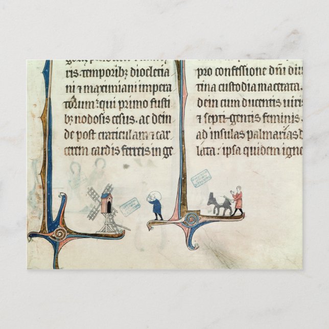 Ein Mann, der seinen Esel fährt, trägt Taschen von Postkarte (Vorderseite)