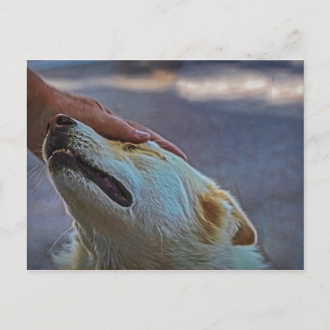 Ein Mann und sein Hund, Postkarte (Vorderseite)