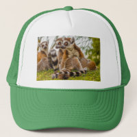 ein männlicher Lemur umarmt sein Weibchen auf eine
