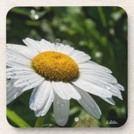 ein margueritte machen Grün Untersetzer