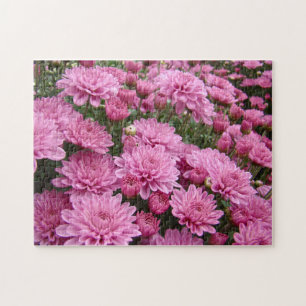 Ein Meer rosa Chrysanthemen #2 Puzzle