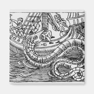 Ein Meeresarm Magnet