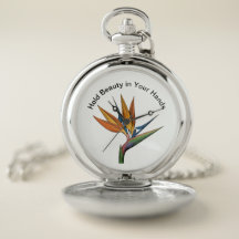 Ein Meisterwerk der Miniatur für Ihr Pocket