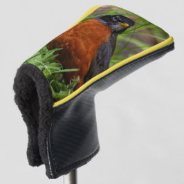 Ein merkwürdiger amerikanischer Robin im Gras Golf Headcover