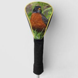 Ein merkwürdiger amerikanischer Robin im Gras Golf Headcover