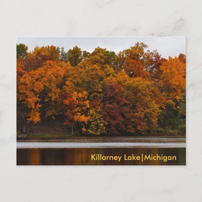 Ein Michigan-Herbst Postkarte (Vorderseite)