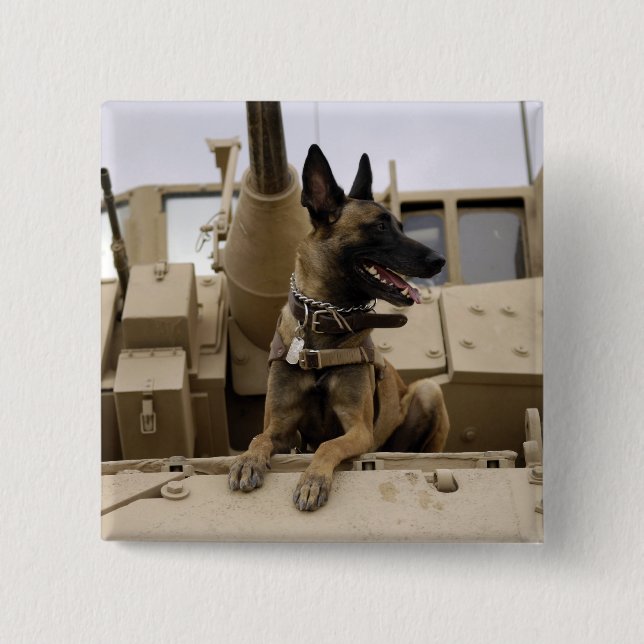Ein militärisch arbeitender Hund sitzt auf einem M Button (Vorderseite)