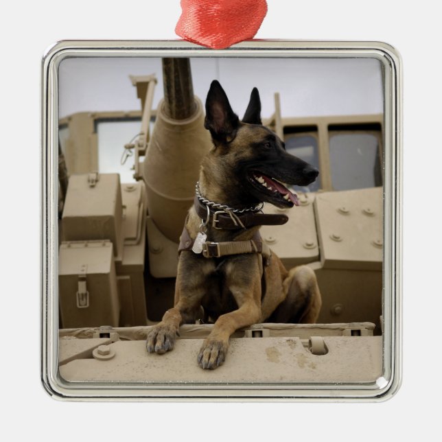 Ein militärisch arbeitender Hund sitzt auf einem M Silbernes Ornament (Vorne)