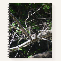 Ein Moment des Light Spiral Notebooks