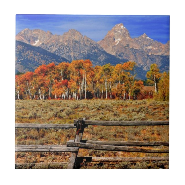 Ein Moment in Wyoming im Herbst Fliese (Vorderseite)