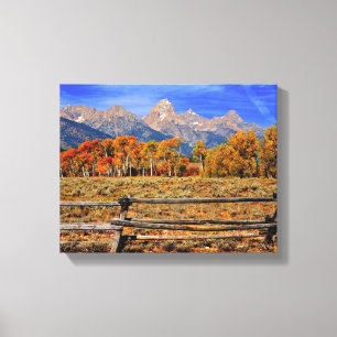 Ein Moment in Wyoming im Herbst Leinwanddruck