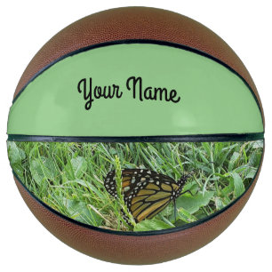 Ein Monarchen Butterfly Basketball