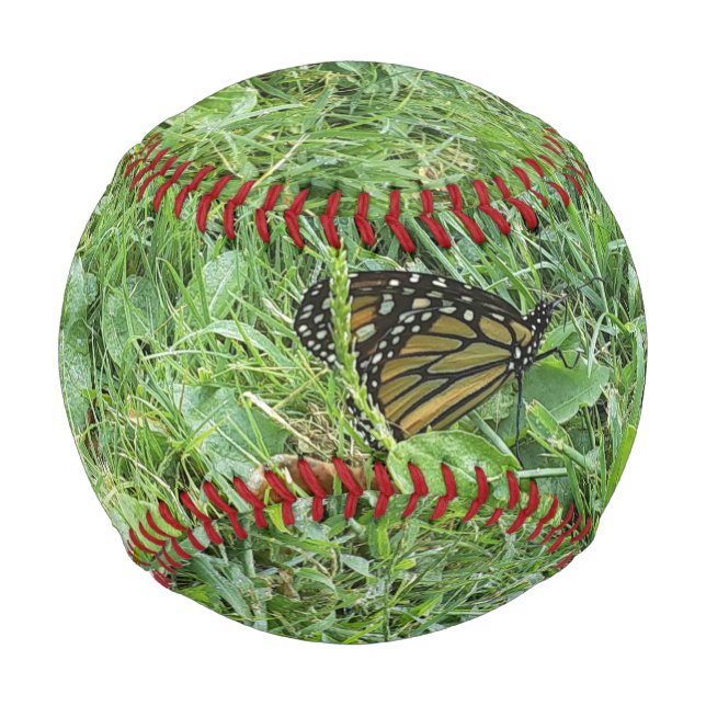 Ein Monarchen-Schmetterling Baseball (Vorderseite)