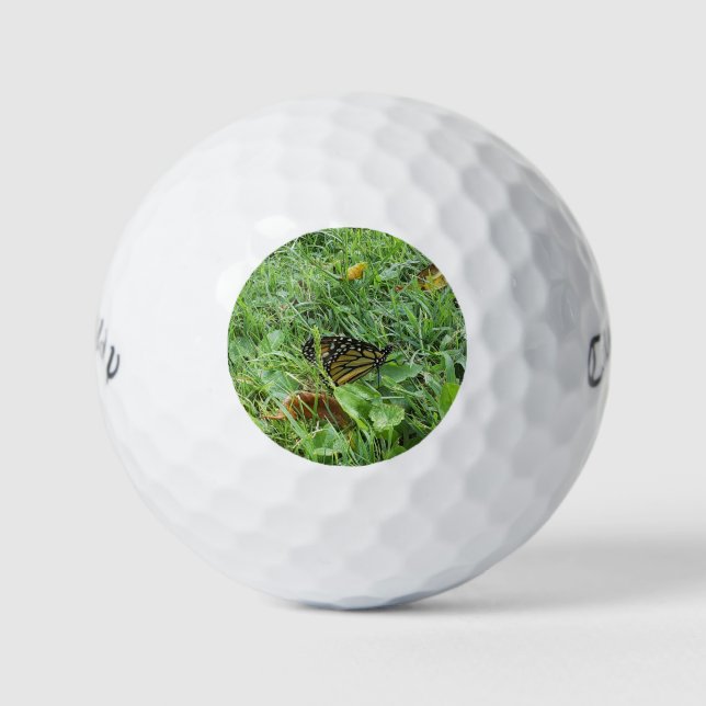 Ein Monarchen-Schmetterling Golfball (Vorderseite)