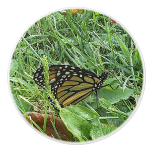 Ein Monarchen-Schmetterling Keramikknauf