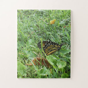Ein Monarchen-Schmetterling Puzzle