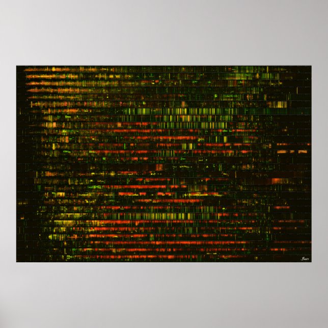 Ein Monat Klang: Poster (Vorne)
