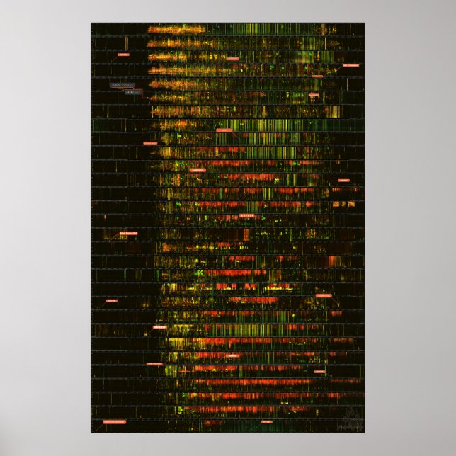 Ein Monat Yellowstone Sounds Poster (Vorne)