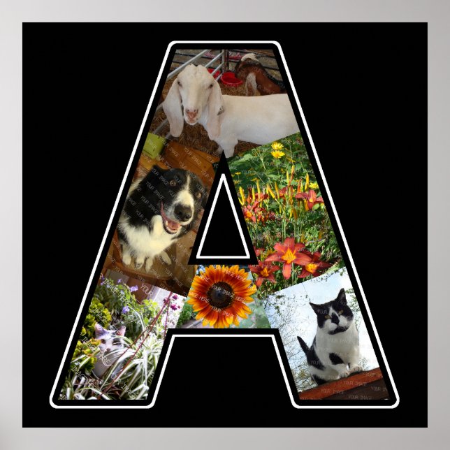 Ein Monogramm erstellen Sie Ihre eigene 6-Collage  Poster (Vorne)