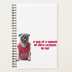 Ein Mops ist ein Bündel von Liebe, die in Pelz umm Planer