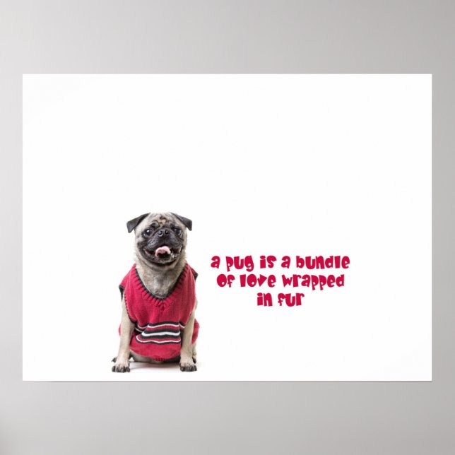 Ein Mops ist ein Bündel von Liebe, die in Pelz umm Poster (Vorne)