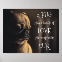 Ein Mops ist ein Bündel von Liebe Geschenk in Pelz