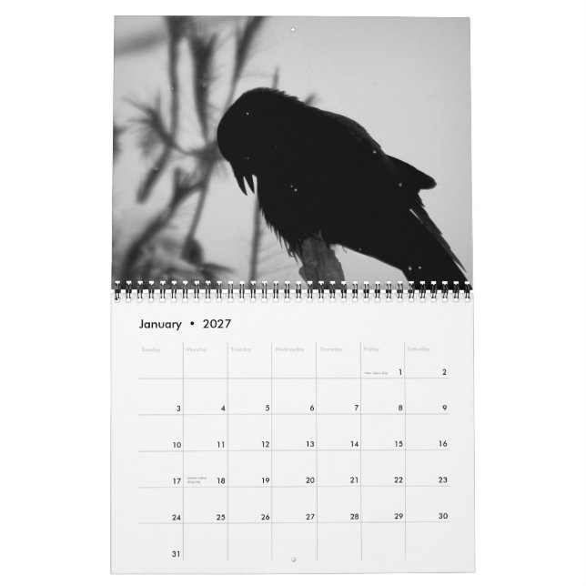 Ein Mord an Krähen-Kalender 2015 Kalender (Jan 2027)